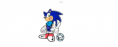 /album/galeria-de-fotos-pagina-inicial/sonicball-png/